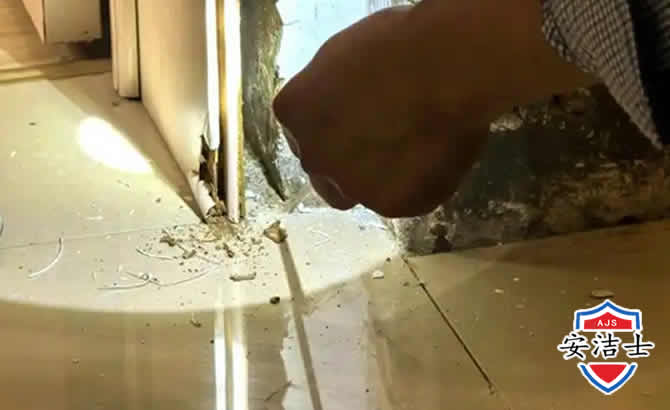 定海区房屋建筑防治白蚁