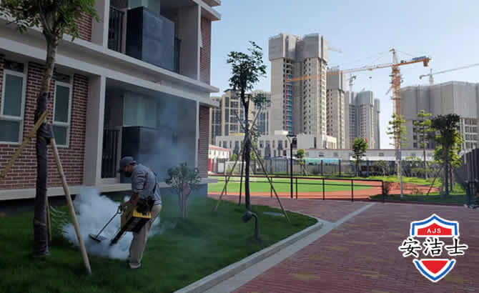 定海区工厂工地除白蚁