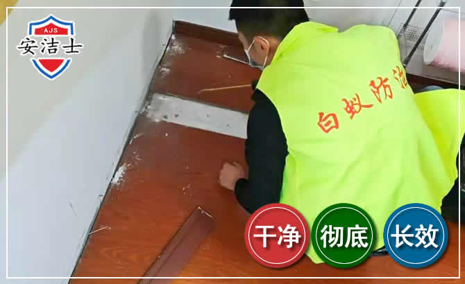 定海区除四害现场