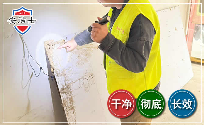 定海区除白蚁现场